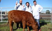 Revista PRODUCCION: Rosita ISA produce "leche maternizada"