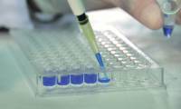 Revista PRODUCCION: Científicos argentinos fabrican un "lector" de ADN y proteínas
