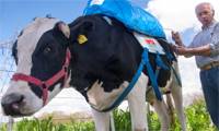 Revista PRODUCCION: El gas de las vacas puede alimentar un motor