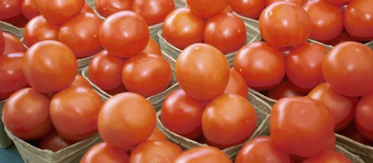 Revista PRODUCCION: Descubren que los tomates de campo contienen más vitamina E