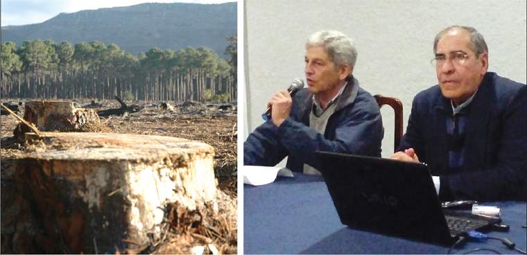 Revista PRODUCCION: deforestación, la verdad de la milanesa!!!