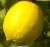 Revista PRODUCCION: certificación al primer cargamento de limones que se exportaa la Unión Europea en 2021