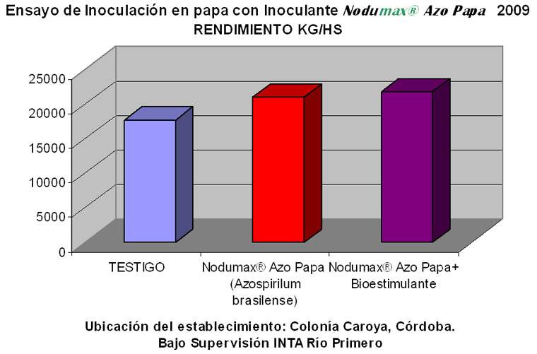 Revista PRODUCCION: Inoculante Nodumax Azo Papa