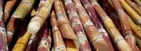 Revista PRODUCCION: Azúcar: tucumán podría cubrir solo el consumo del mercado interno en 2013