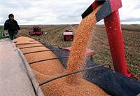Revista PRODUCCION: La Bolsa de Cereales también recorta las estimaciones de cosecha de soja