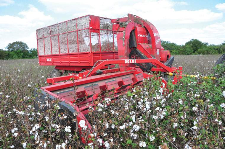 Revista PRODUCCION: Cosechadora de algodón Javiyú