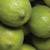 Revista PRODUCCION: El desafío de la citricultura tucumana es aumentar la productividad de las quintas de limón