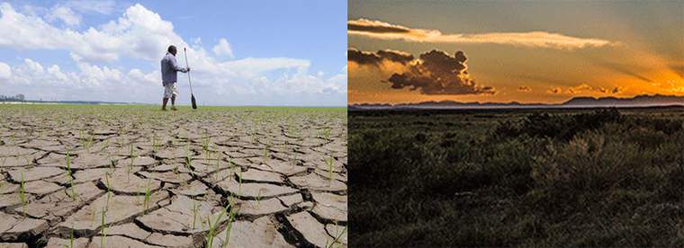 Revista PRODUCCION: el cambio del clima deja su huella en la agricultura