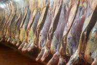 Revista PRODUCCION: argentina exportará 350.000  toneladas de carne bovina 2018