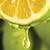 Revista PRODUCCION: los limones argentinos ganan mercados a fuerza de calidad e  insistencia