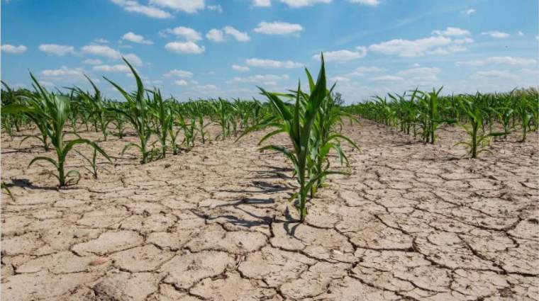 Revista PRODUCCION: alertan que el clima no será del todo benévolo en la próxima campaña agrícola