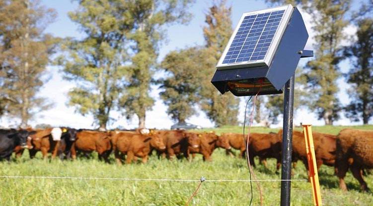 Revista PRODUCCION: aplicarán tecnología solar para el desarrollo ganadero tucumano