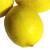 Revista PRODUCCION: El limón vive un año excepcional
