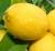 Revista PRODUCCION: Argentina ya duplicó el volumen de limones frescos exportados a los Estados Unidos en todo el año pasado