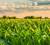 Revista PRODUCCION: Mejorar las prácticas agropecuarias para mitigar el cambio climático