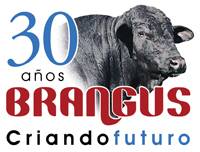 Revista PRODUCCION: 30 años de la Asociación de Brangus