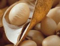 Revista PRODUCCION: La cosecha de granos superaría los 140 millones de toneladas en 2026 y habrá exportaciones por USD 32.000 millones