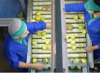 Revista PRODUCCION: Las exportaciones de cítricos tuvieron el monto exportado más alto en los ?ºltimos cinco años.