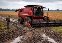 Revista PRODUCCION: Es necesario que los campos se sequen para que ingresen las máquinas y se pueda comenzar a cosechar