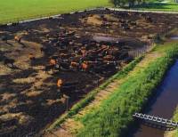 Revista PRODUCCION: El aprovechamiento del estiércol mejora hasta un 26 % los rindes de los cultivos