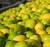 Revista PRODUCCION: Tucumán ya exportó el 50% de limones previsto