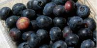 Revista PRODUCCION: En un Día de Campo se presentaron tres variedades de arándanos de origen tucumano: Tafí, Slender y Moya